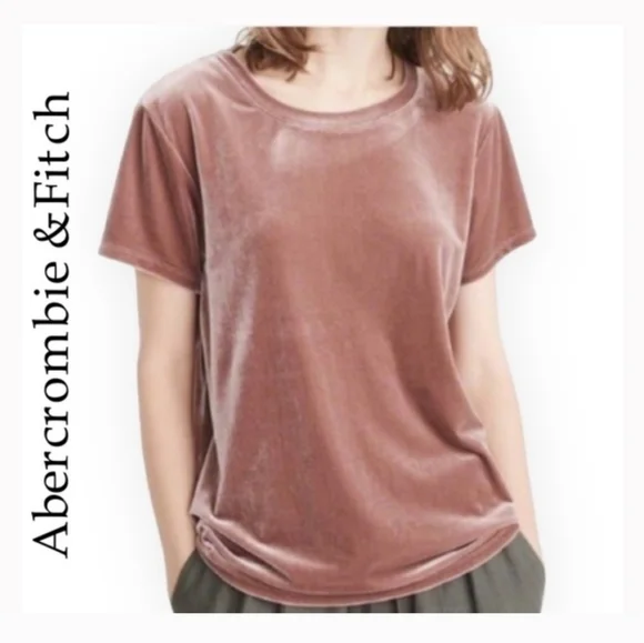Abercambie And Fitch Short Sleeve Velvet Tee in Dusty Rose - Picture 2 of 4